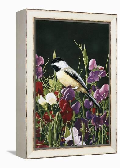 Sweet Peas and Chickadee-William Vanderdasson-Framed Premier Image Canvas