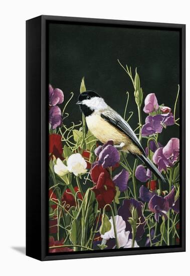 Sweet Peas and Chickadee-William Vanderdasson-Framed Premier Image Canvas