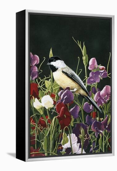 Sweet Peas and Chickadee-William Vanderdasson-Framed Premier Image Canvas