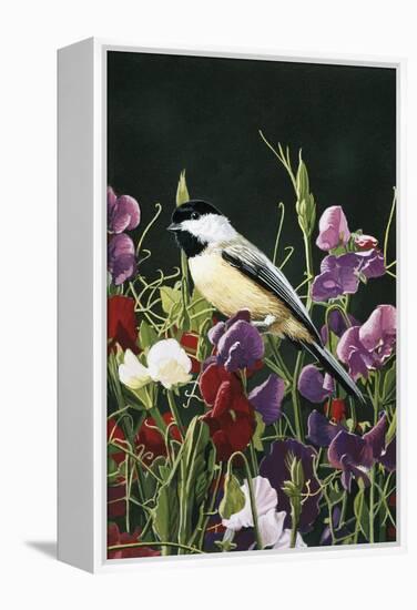 Sweet Peas and Chickadee-William Vanderdasson-Framed Premier Image Canvas