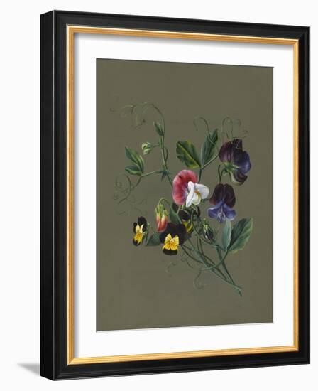 Sweet Peas (Quitro) and Violas, 1830 (W/C and Bodycolour on Paper with a Prepared Ground)-Louise D'Orleans-Framed Giclee Print