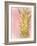 Sweet Pineapple 2-Kimberly Allen-Framed Art Print