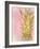 Sweet Pineapple 2-Kimberly Allen-Framed Art Print