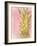 Sweet Pineapple 2-Kimberly Allen-Framed Art Print