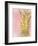 Sweet Pineapple 2-Kimberly Allen-Framed Art Print