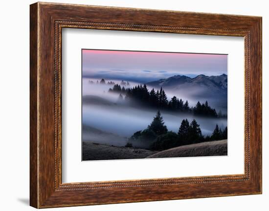 Sweet Post Sunset Light and Fog, Hills of Mount Tam, Northern California-Vincent James-Framed Photographic Print