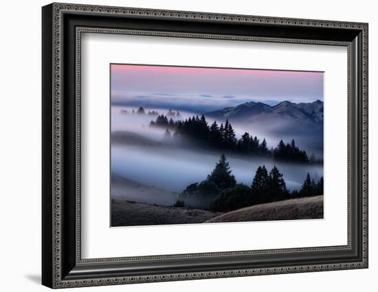 Sweet Post Sunset Light and Fog, Hills of Mount Tam, Northern California-Vincent James-Framed Photographic Print