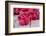 Sweet Raspberry on Wooden Tables-boule-Framed Photographic Print