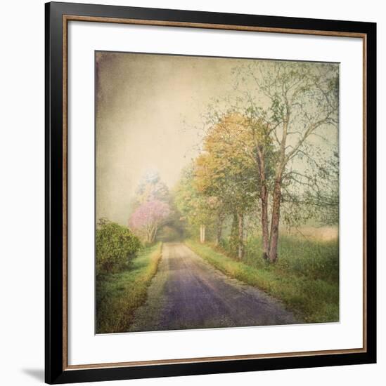 Sweet Road-Dawne Polis-Framed Giclee Print