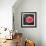 Sweet Rose I-Nicole Katano-Framed Photo displayed on a wall