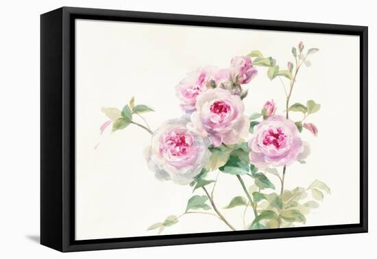 Sweet Roses on White Green-Danhui Nai-Framed Stretched Canvas