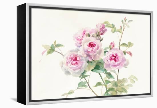 Sweet Roses on White Green-Danhui Nai-Framed Stretched Canvas