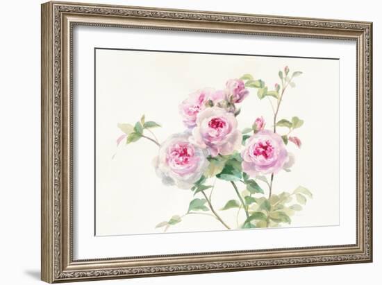 Sweet Roses on White Green-Danhui Nai-Framed Art Print