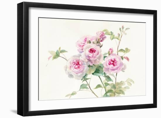 Sweet Roses on White Green-Danhui Nai-Framed Art Print