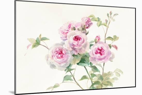 Sweet Roses on White Green-Danhui Nai-Mounted Art Print