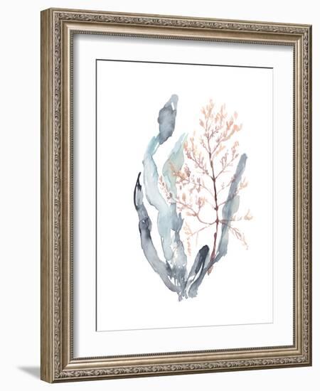 Sweet Seaweed II-Jennifer Goldberger-Framed Art Print