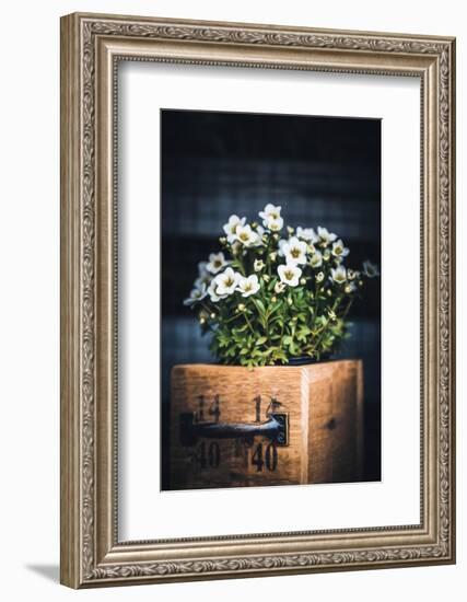 Sweet Side-Philippe Sainte-Laudy-Framed Photographic Print