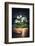 Sweet Side-Philippe Sainte-Laudy-Framed Photographic Print