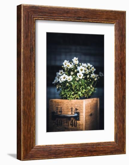 Sweet Side-Philippe Sainte-Laudy-Framed Photographic Print