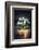 Sweet Side-Philippe Sainte-Laudy-Framed Photographic Print