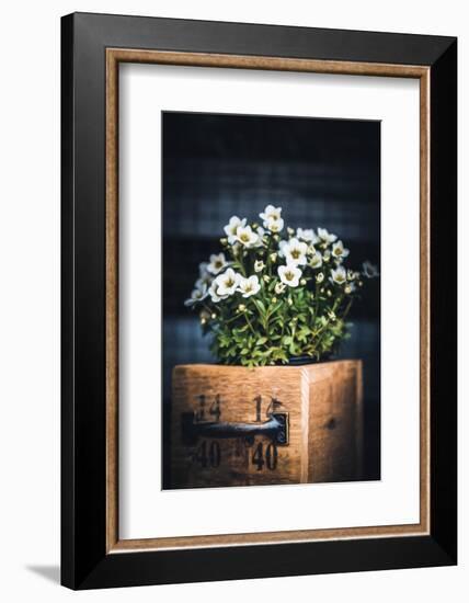 Sweet Side-Philippe Sainte-Laudy-Framed Photographic Print