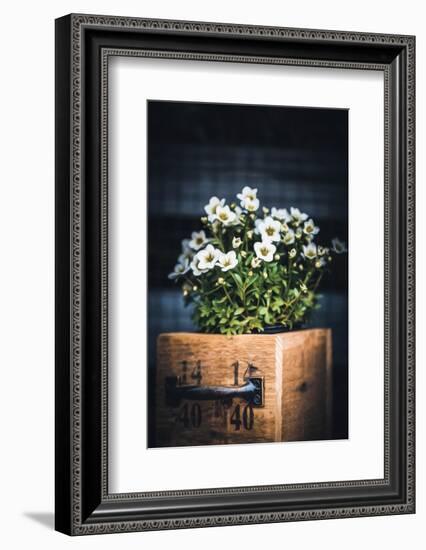 Sweet Side-Philippe Sainte-Laudy-Framed Photographic Print
