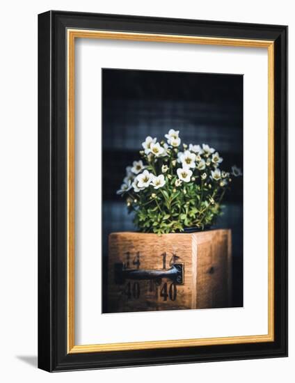 Sweet Side-Philippe Sainte-Laudy-Framed Photographic Print