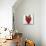 Sweet Strawberry-Nicole Katano-Mounted Photo displayed on a wall