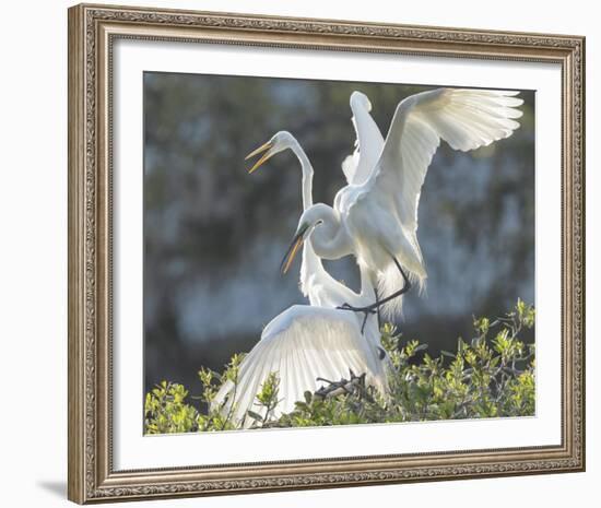 Sweet Talk-Wink Gaines-Framed Giclee Print