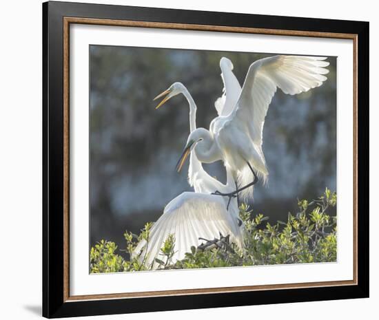 Sweet Talk-Wink Gaines-Framed Giclee Print