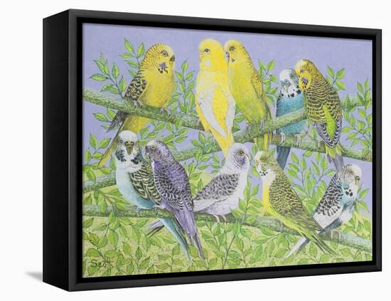 Sweet Talking-Pat Scott-Framed Premier Image Canvas