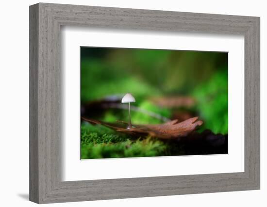 Sweet Thing-Philippe Sainte-Laudy-Framed Photographic Print