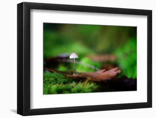 Sweet Thing-Philippe Sainte-Laudy-Framed Photographic Print