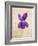 Sweet Violets, Violets, Viola Odorata, Blossom, Violet-Axel Killian-Framed Photographic Print