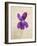 Sweet Violets, Violets, Viola Odorata, Blossom, Violet-Axel Killian-Framed Photographic Print