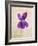 Sweet Violets, Violets, Viola Odorata, Blossom, Violet-Axel Killian-Framed Photographic Print