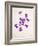 Sweet Violets, Violets, Viola Odorata, Blossoms, Violet-Axel Killian-Framed Photographic Print