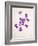 Sweet Violets, Violets, Viola Odorata, Blossoms, Violet-Axel Killian-Framed Photographic Print