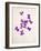 Sweet Violets, Violets, Viola Odorata, Blossoms, Violet-Axel Killian-Framed Photographic Print