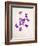 Sweet Violets, Violets, Viola Odorata, Blossoms, Violet-Axel Killian-Framed Photographic Print