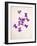 Sweet Violets, Violets, Viola Odorata, Blossoms, Violet-Axel Killian-Framed Photographic Print