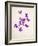 Sweet Violets, Violets, Viola Odorata, Blossoms, Violet-Axel Killian-Framed Photographic Print