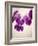 Sweet Violets, Violets, Viola Odorata, Blossoms, Violet-Axel Killian-Framed Photographic Print