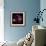 Sweet William 2-Magda Indigo-Framed Photographic Print displayed on a wall