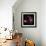 Sweet William 2-Magda Indigo-Framed Photographic Print displayed on a wall