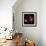 Sweet William 2-Magda Indigo-Framed Photographic Print displayed on a wall