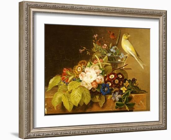 Sweet William, Forget Me Not, Convulvus and a Canary on a Ledge-Johan Laurentz Jensen-Framed Giclee Print