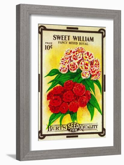 Sweet William Seed Packet-Lantern Press-Framed Art Print