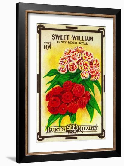 Sweet William Seed Packet-Lantern Press-Framed Art Print