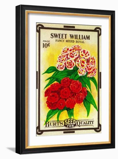 Sweet William Seed Packet-Lantern Press-Framed Art Print
